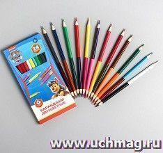 Карандаши цветные PAW PATROL, двухсторонние, трёхгранные, 24 цвета