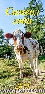 Календарь настенный на спирали "Символ года" 2021 (евро)