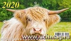 Календарь настенный на спирали "Символ года" 2021