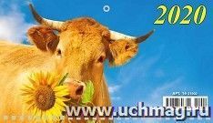 Календарь настенный на спирали "Символ года" 2021