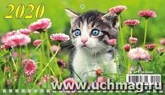 Календарь настенный на спирали "Котенок" 2021
