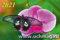 Календарь квартальный на 3-х спиралях с курсором "Бабочка" 2021