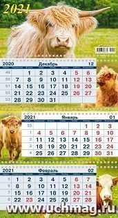 Календарь квартальный на 3-х спиралях с курсором "Символ года" 2021