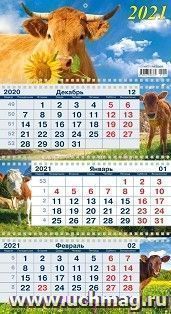 Календарь квартальный на 3-х спиралях с курсором "Символ года" 2021