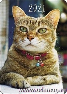 Календарь карманный "Кот" 2021