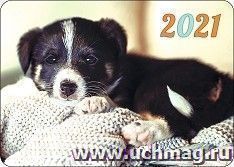 Календарь карманный "Щенок" 2021