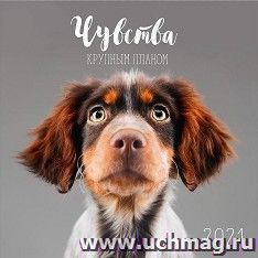 Календарь перекидной "Чувства крупным планом" 2021