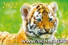 Календарь квартальный на 3-х спиралях с курсором "Символ года" 2022