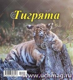 Календарь настольный перекидной "Домик. Символ года. Тигрята" 2022