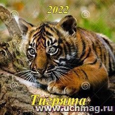 Календарь настенный перекидной на скрепке "Символ года. Тигрята" 2022