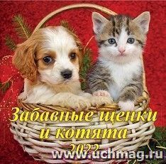 Календарь настенный перекидной на скрепке "Забавные щенки и котята" 2022