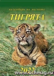 Календарь на магните с отрывным блоком "Символ года. Тигрята" 2022