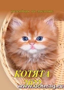 Календарь на магните с отрывным блоком "Котята" 2022