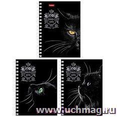 Книжка записная "Royal Cats"