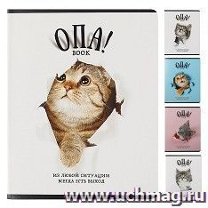 Тетрадь "ОПА!", 48 л., клетка