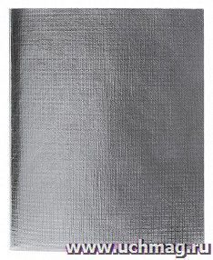 Тетрадь "Metallic. Серебро", 48 л., линия
