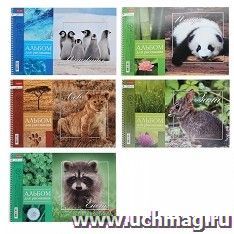 Альбом для рисования "BabyZoo", 24 листа