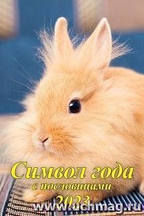 Календарь настенный на спирали с ригелем "Символ года с пословицами"  2023