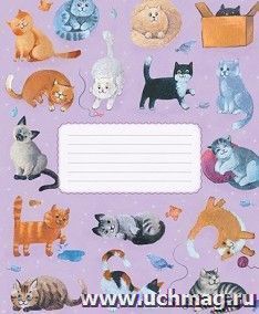 Тетрадь "Коты", 48 л., клетка
