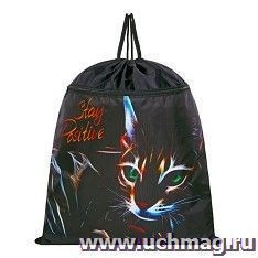 Мешок для обуви "Cat"