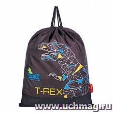 Мешок для обуви "T-REX"