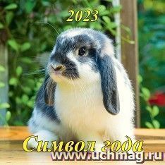 Календарь настенный перекидной на скрепке "Символ года" 2023