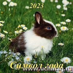 Календарь настенный перекидной на скрепке "Символ года" 2023
