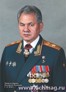 Портрет министра обороны РФ С. К. Шойгу