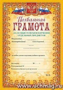 Похвальная грамота за особые успехи в изучении отдельных предметов (с гербом и флагом, текст, рамка оранжевая)