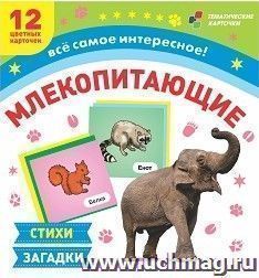 Млекопитающие: 12 развивающих карточек с красочными картинками, стихами и загадками для занятий с детьми