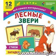 Лесные звери: 12 развивающих карточек с красочными картинками, стихами и загадками для занятий с детьми