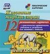Животные жарких стран: 12 развивающих карточек с красочными картинками, стихами и загадками для занятий с детьми