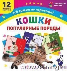 Кошки. Популярные породы: 12 цветных карточек. Всё самое интересное! Набор для занятий с детьми