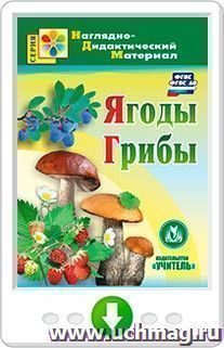 Ягоды. Грибы. Онлайн-книга