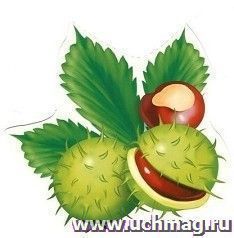 Открытка-мини "Плоды каштана"