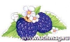 Открытка-мини "Ежевика"