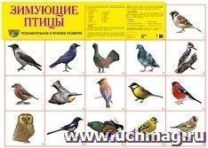 Плакат "Зимующие птицы"