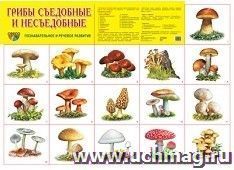 Плакат "Грибы съедобные и несъедобные"