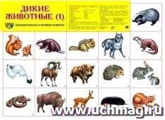 Плакат "Дикие животные 1"