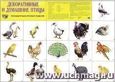 Плакат "Домашние и декоративные птицы"
