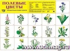 Плакат "Полевые цветы"