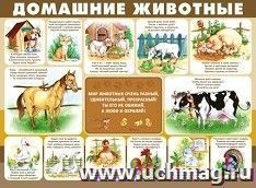 Плакат "Домашние животные"