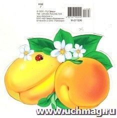 Открытка-мини "Абрикос"