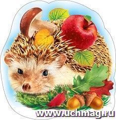 Плакат вырубной "Еж"