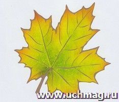 Кленовый лист, зелено-желтый