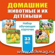 Набор обучающих карточек "Домашние животные и их детёныши"