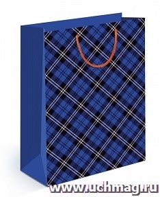 Пакет подарочный (ML) "Для мужчин"