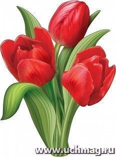 Плакат "Тюльпаны"