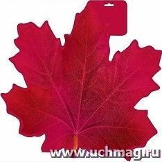 Плакат "Лист кленовый", бордо