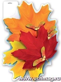 Плакат "Листья клена"